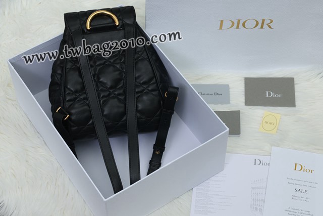 Dior专柜新款迪奥高仿原单Caro双肩包小羊皮女士双肩背包 djfk1572